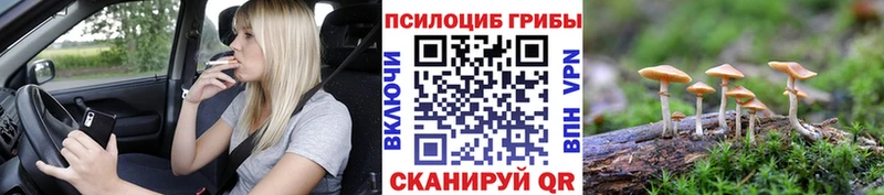 Псилоцибиновые грибы Magic Shrooms  кракен ONION  Фролово 