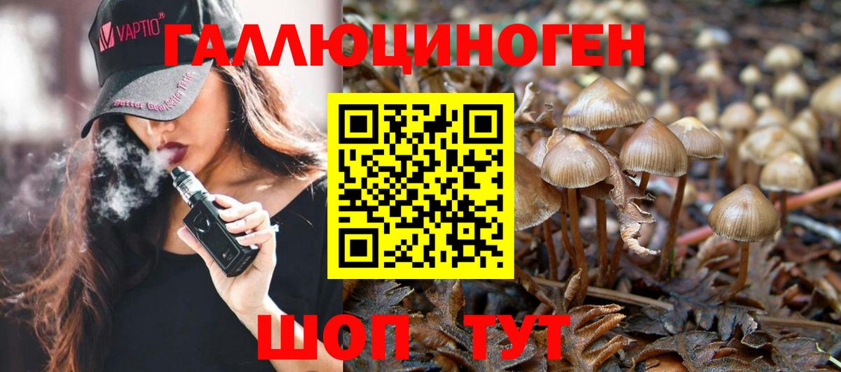 Галлюциногенные грибы Cubensis Фролово