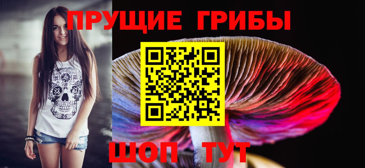 Галлюциногенные грибы Psilocybe  Фролово 