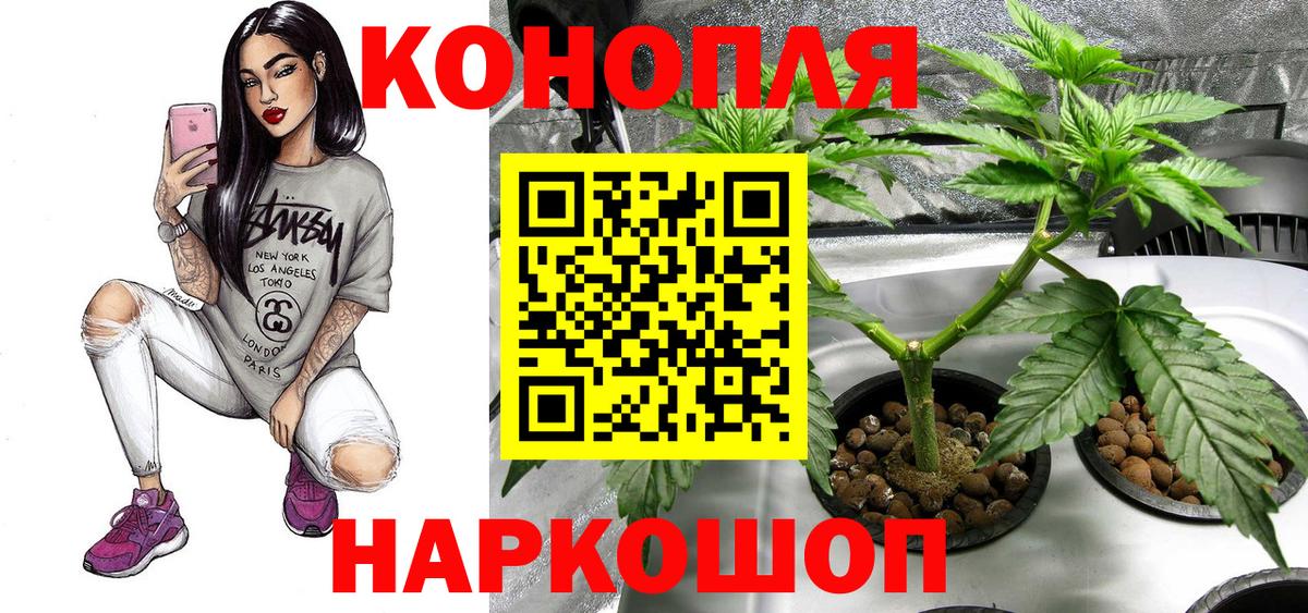 Каннабис Amnesia  Каннабис план  Бошки Шишки OG Kush  Фролово  Вход с VPN  МАРИХУАНА OG Kush 